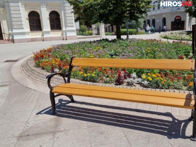 Köztéri padokat újítanak fel Kecskeméten - Videóval