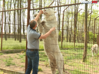 Újra kinyitott a Magán Zoo Felsőlajoson