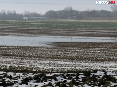 Megjelent a belvíz a földeken