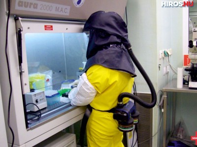 Laborvezető: többféle koronavírust is izoláltak