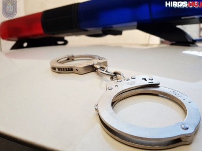 Négy külföldit tartóztattak fel a rendőrök Hercegszántónál