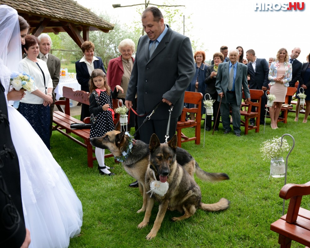 Állati jó esküvő