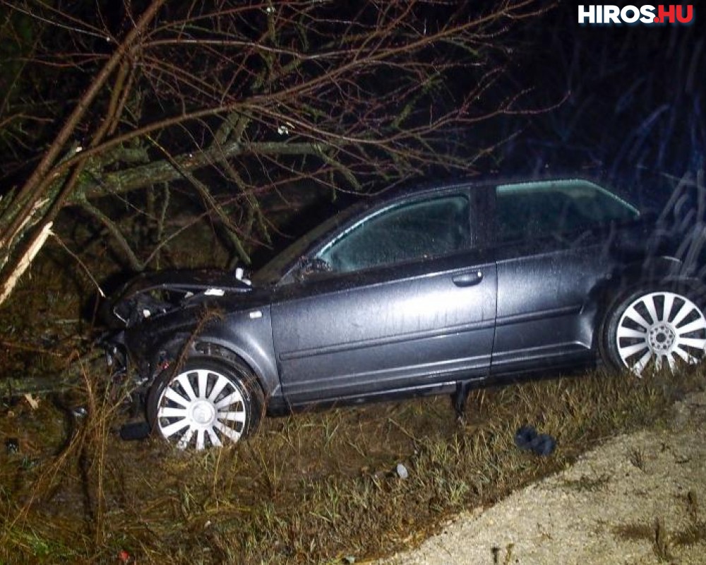 Négy akácfát döntött ki egy kanyarban egy személyautó az 53-as főúton