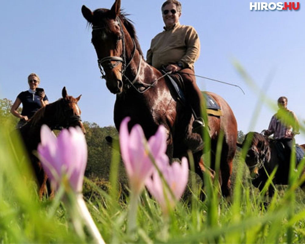 Hétszázmilliós fejlesztés segíthet fellendíteni a lovas turizmust