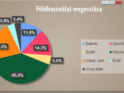 (Forrás: TAKI)