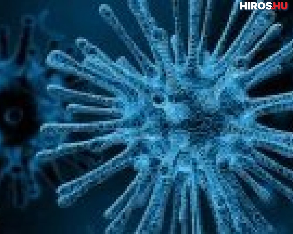 Tájékoztató az új koronavírusról