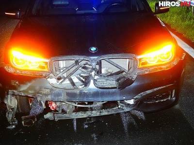 Két vaddisznót is elütöttek az M5-ös autópályán hajnalban
