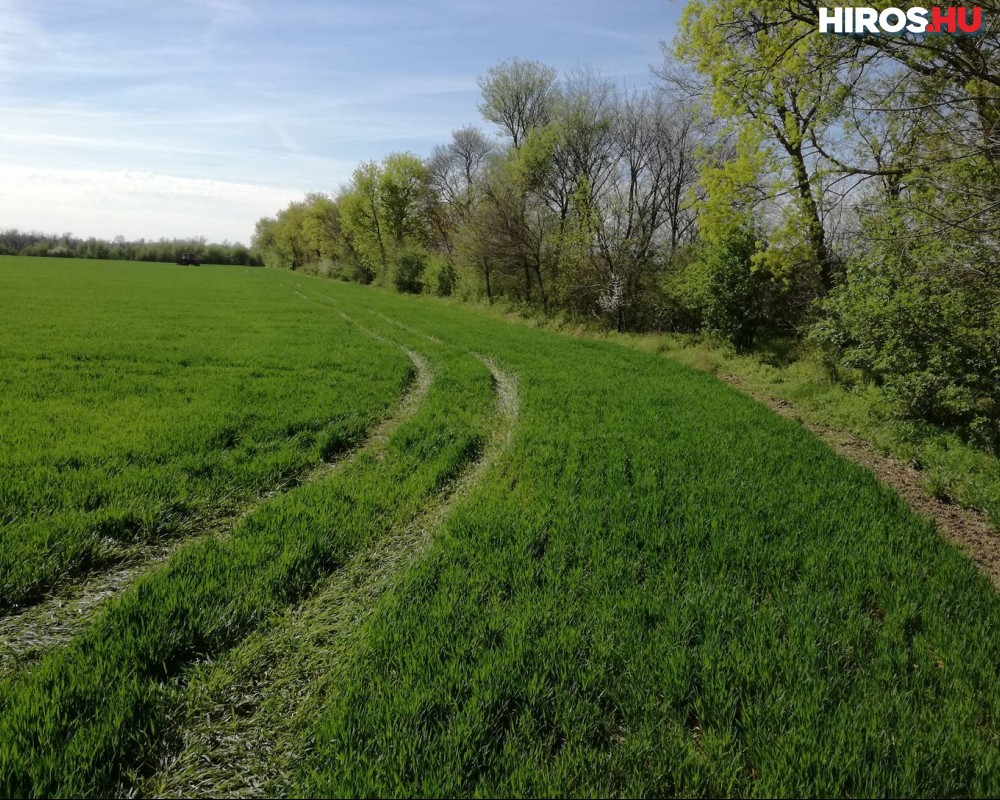 Bács-Kiskun megyében is megkezdődtek a határszemlék