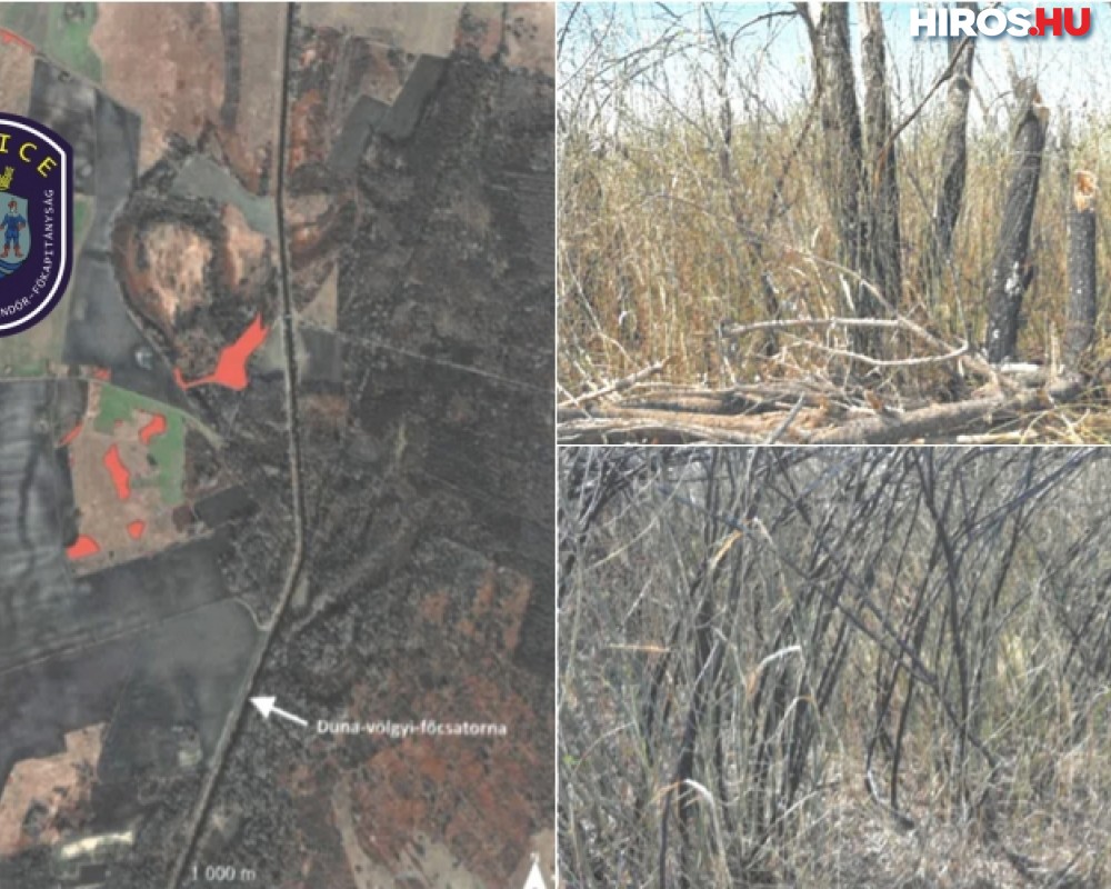 Védett állatfajok is elpusztultak a többhektáros tűzben