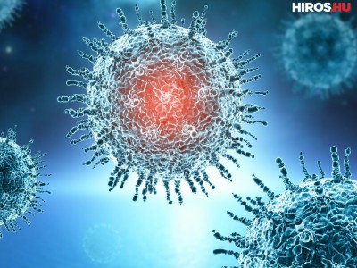 Koronavírus: 12 636 az új fertőzött és elhunyt 104 beteg