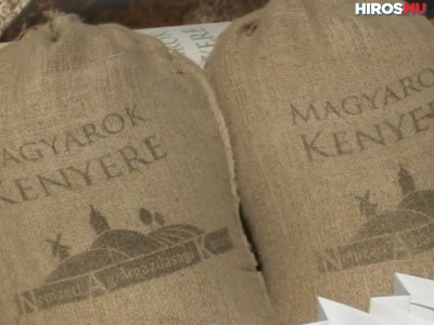 Magyarok Kenyere – 15 millió búzaszem program