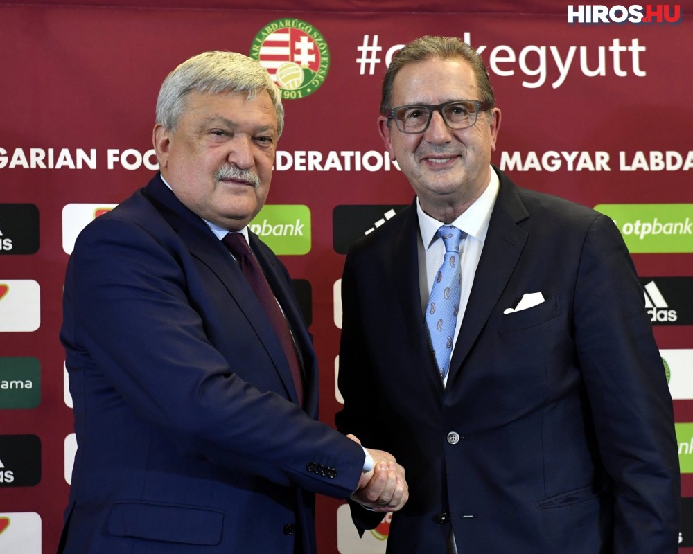 Georges Leekens lesz a magyar labdarúgó-válogatott új szövetségi kapitánya