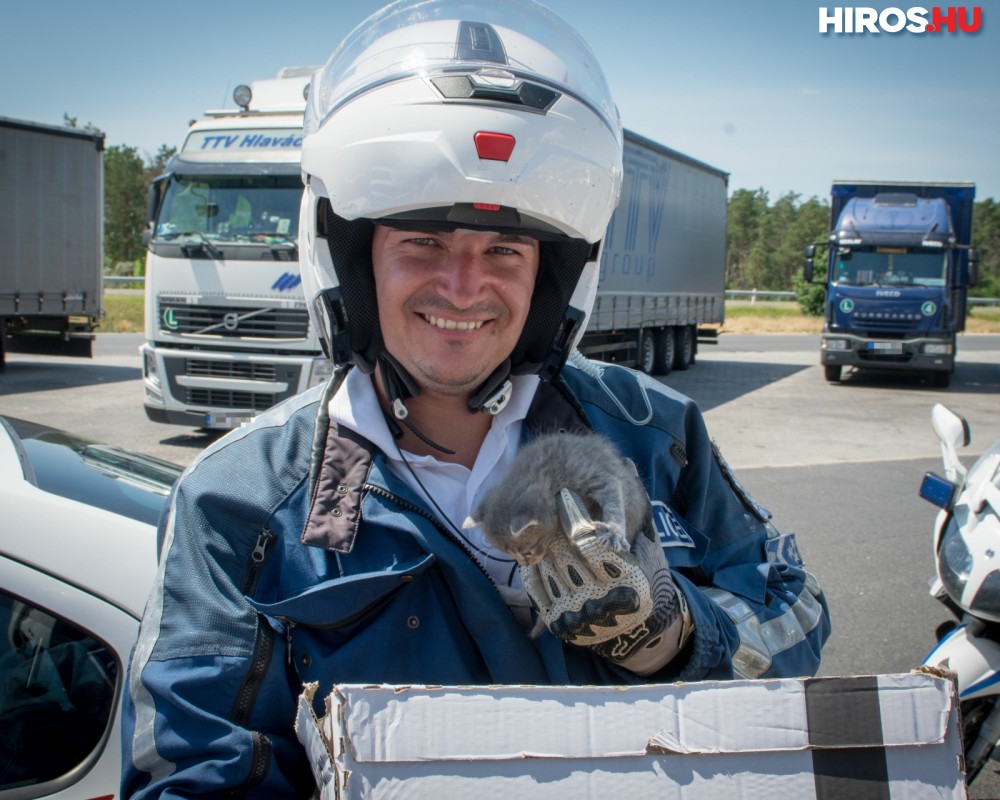 Cicákat mentettek a motoros rendőrök