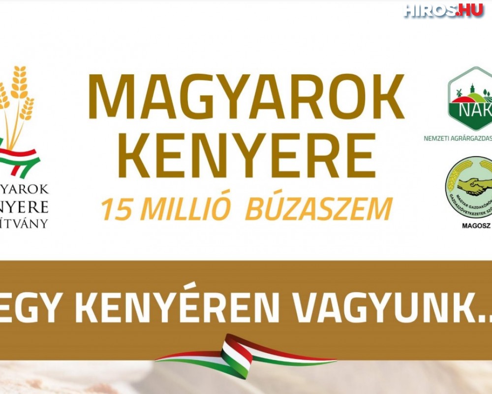 Indul a Magyarok Kenyere - 15 millió búzaszem program