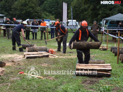 Fadöntésben ezüstöt és bronzot nyertek tűzoltóink