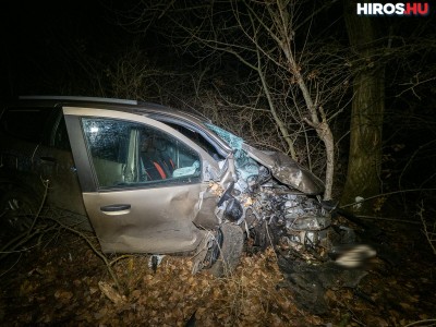 Autóroncsot találtak a bokrok között Kiskunhalas közelében