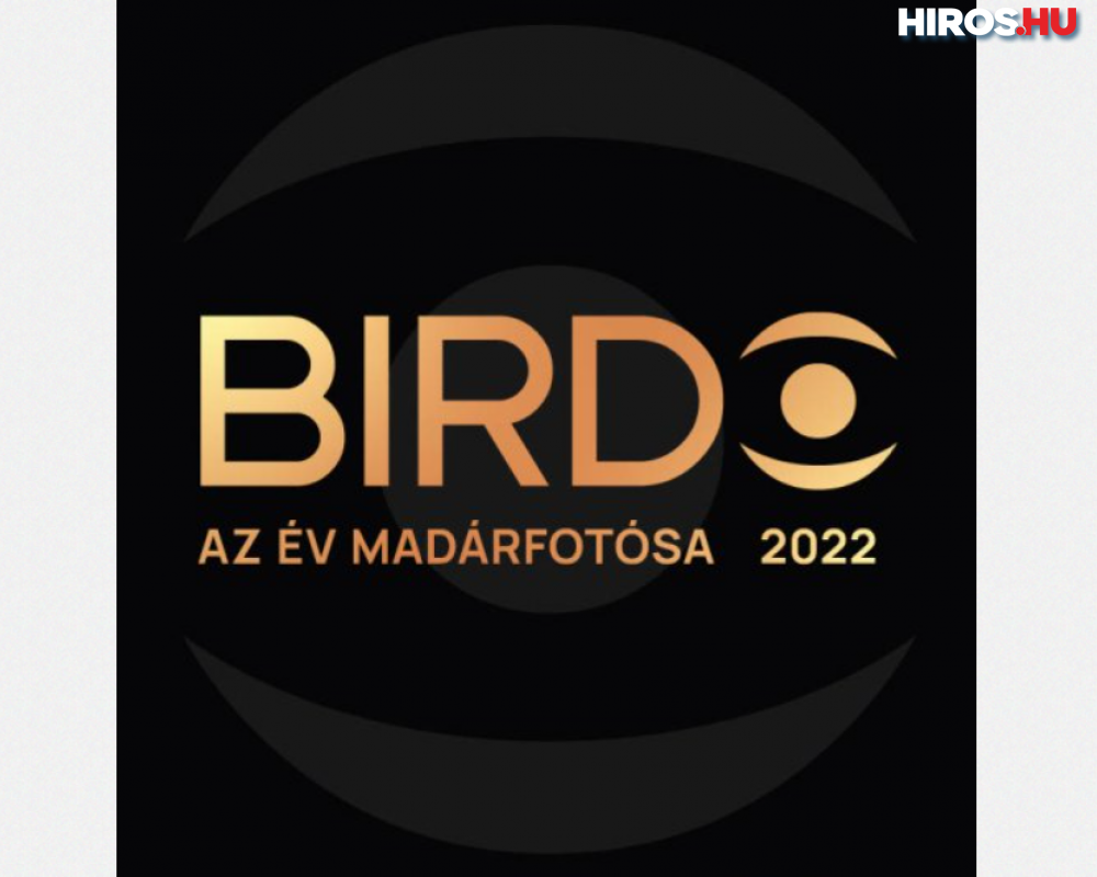 Birdo – Az év madárfotósát keresik
