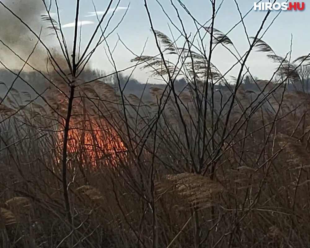 Egyre több a szabadtéri tűz a Katasztrófavédelem szerint - Videóval