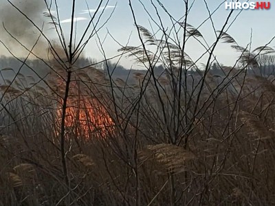 Egyre több a szabadtéri tűz a Katasztrófavédelem szerint - Videóval