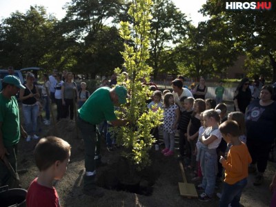 Fát ültettek, tantermeket adtak át a Lánchíd Utcai Általános Iskolában