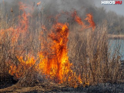 26 tűzoltó küzdött a lángokkal a Vadkerti-tónál - VIDEÓVAL