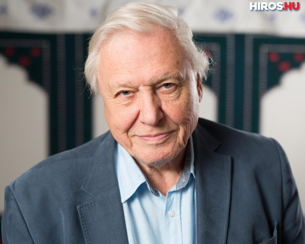 A műanyagok használatának visszaszorítására int David Attenborough