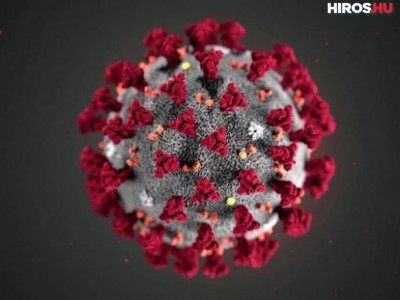 Koronavírus - Hétre nőtt a koronavírus-fertőzésben elhunytak száma Magyarországon