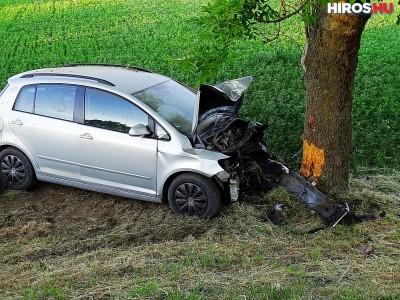 Két gyermek is megsérült, amikor fának csapódott egy autó Csongrádnál