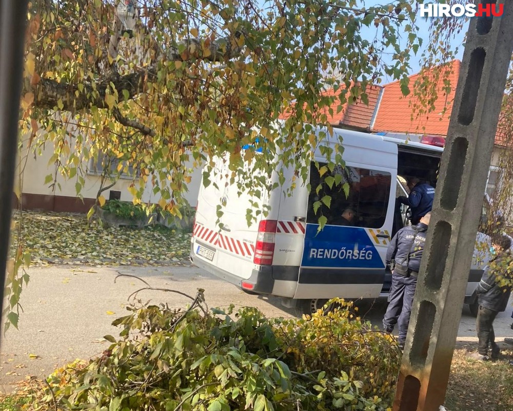 Két migránst fogtak a Rozsnyói utcában, egyikük egy ház udvarába akart bemenekülni