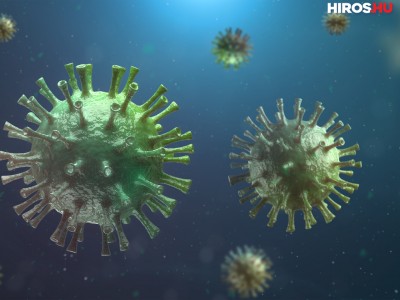 Koronavírus: 25 új fertőzött, 2 beteg elhunyt