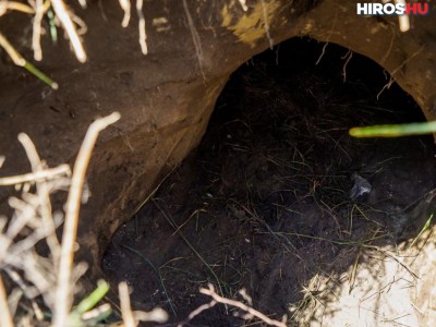 24 méter hosszú alagutat fedeztek fel a határ alatt (videóval)