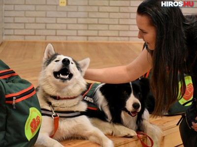 Kutyával egy mosolyért - Négylábú kedvencek az Idősek Akadémiáján