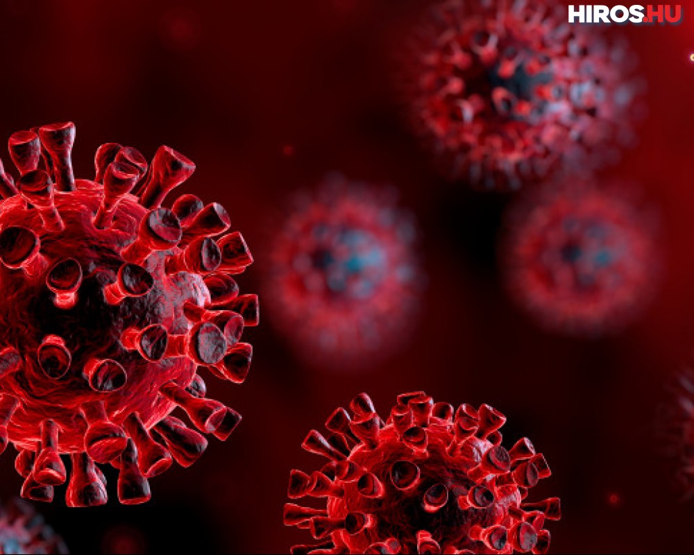 Koronavírus: 4 431 az új fertőzött és elhunyt 73 beteg