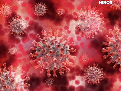 Koronavírus: 6524 az új fertőzött és elhunyt 101 beteg