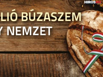 Hetedik éve indul el a magyarok kenyere program a rászoruló gyermekek megsegítéséért