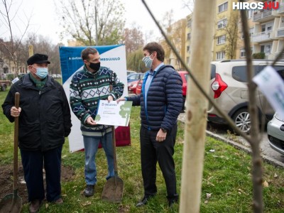 24 fát ültettek el a Szabad utca mellett – VIDEÓVAL