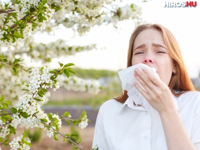 Pollenhelyzet - NNK: erősödhetnek az allergiás tünetek
