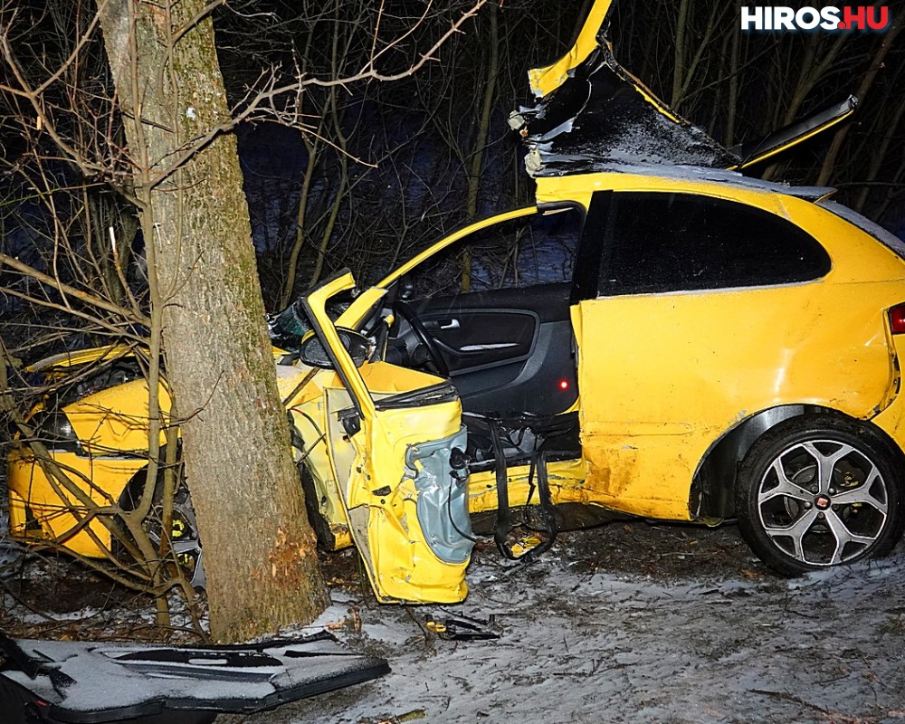 A havas úton csapódott fának egy autó Kunszentmártonnál