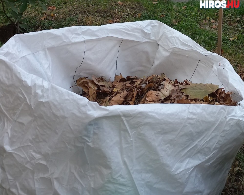 Nem fogadnak füvet és falevelet a komposztáló üzemben - Videóval