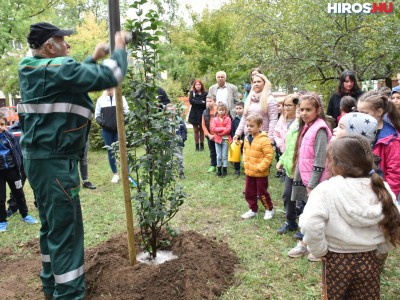Fát ültettek az elsősök a Széchenyivárosban