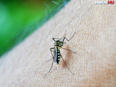 Hét megye 252 településen lesz szúnyoggyérítés a héten