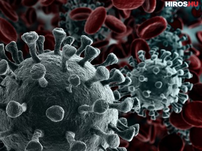 Koronavírus: 14 402 az új fertőzött és elhunyt 54 beteg