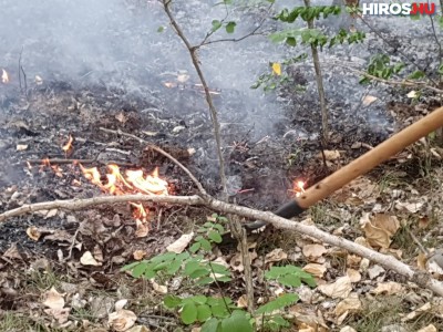 Matkói erdőtűz: megköszönte a polgármester a tűzoltók és a civilek munkáját