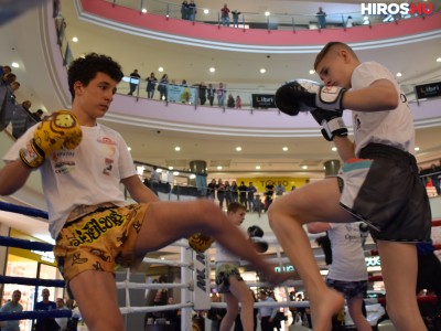 Küzdősport-bemutatót tartottak a Malomban - VIDEÓVAL