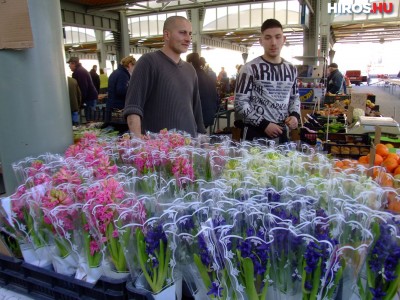 Tavaszi színek, nőnap előtti virágvásár a piacon