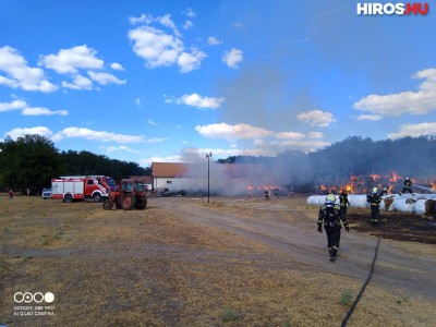 Tűz van Lajosmizse közelében - VIDEÓVAL