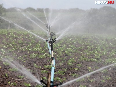 Tartósan vízhiányos időszak kihirdetését kezdeményezte az Agrárminisztérium