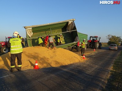 Több tonna kukorica borult az útra Szentesnél