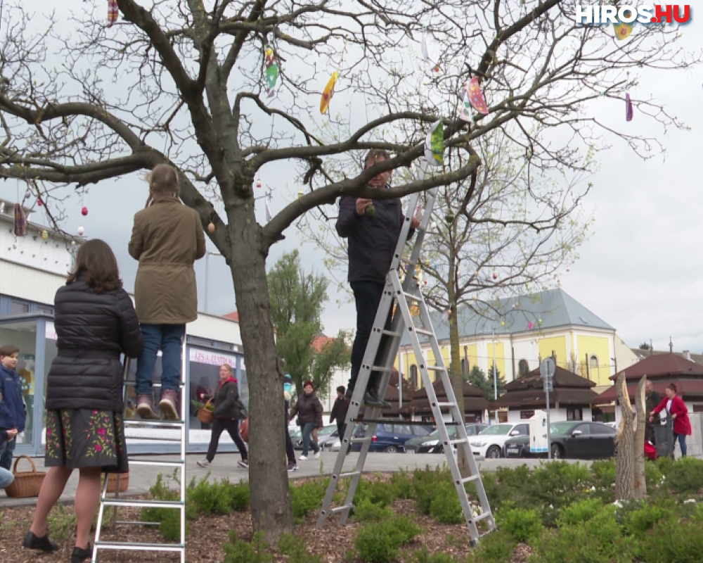 Tojásokkal díszítették fel a Centrum körüli fákat - Videóval