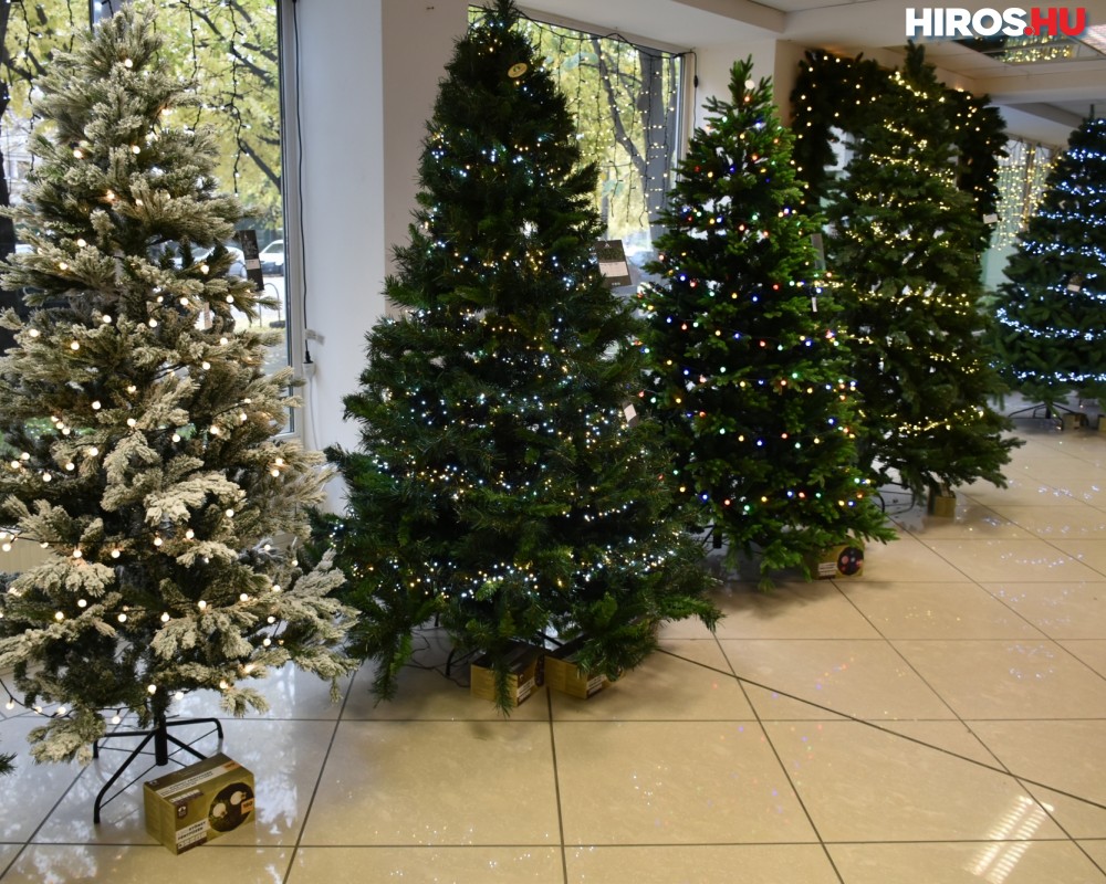 DekorTrend Kecskemét: a város legnagyobb karácsonyfa-választéka